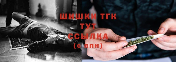 винт Осинники