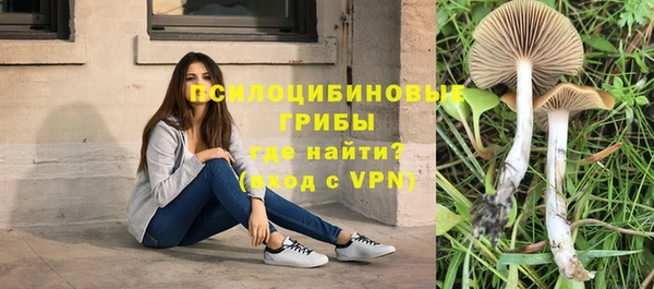 MDMA Новозыбков