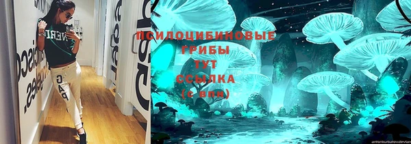 СК Кстово