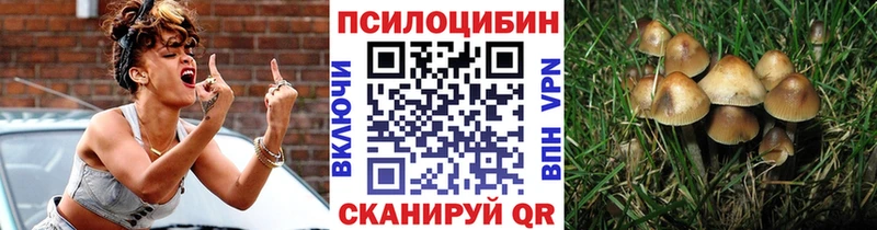 ОМГ ОМГ как войти Ростов Галлюциногенные грибы GOLDEN TEACHER наркота